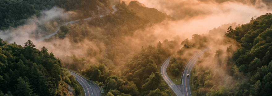 Curved mountain road cutting through green forest with morning mist and sunrise