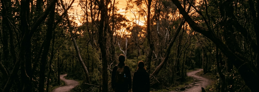 Two people standing at a fork in a forest trail with orange sunset in the background